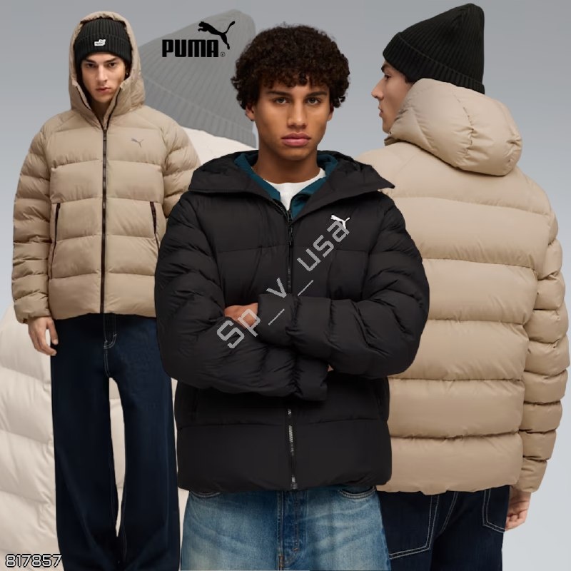 Puma