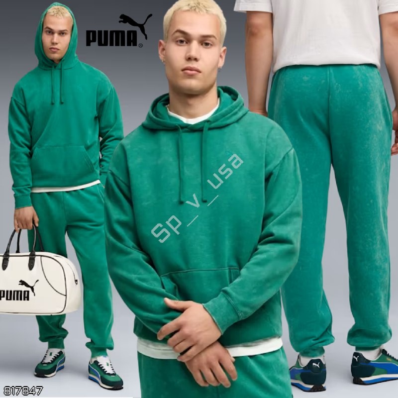 Puma