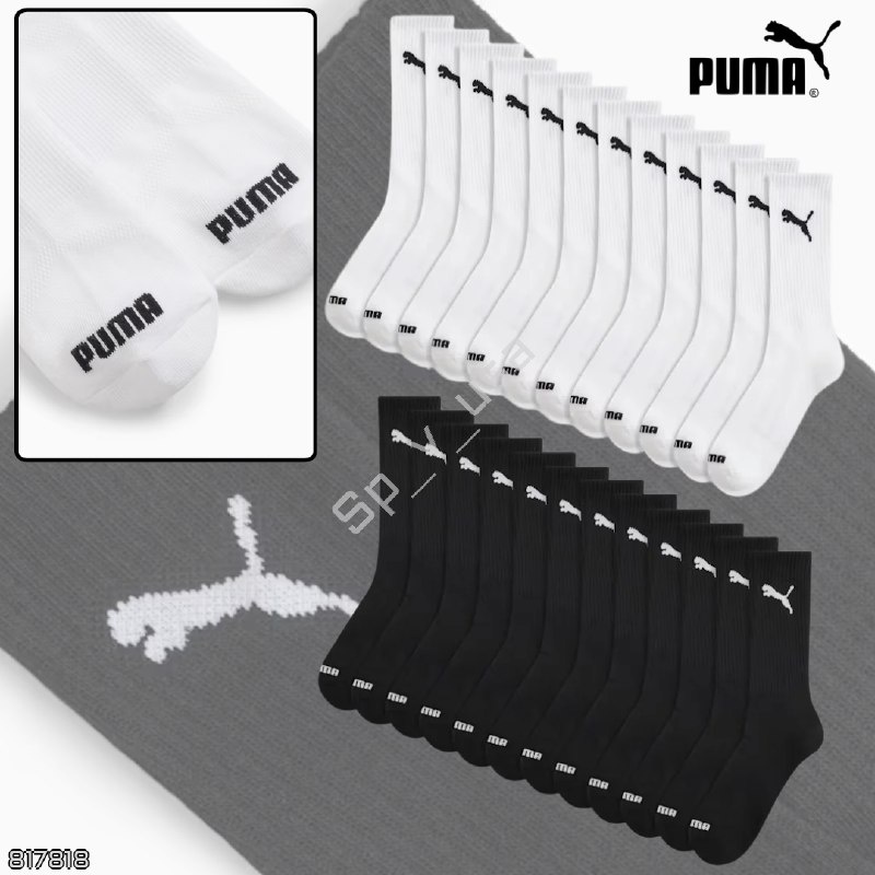 Puma 🇺🇸